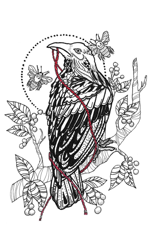 Raven line drawing